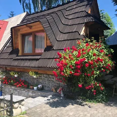 Domek na Harendzie Zakopane Zewnętrze zdjęcie